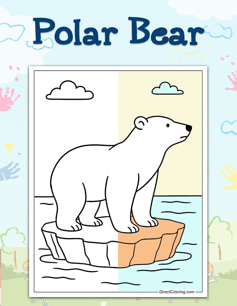 Polar Bear